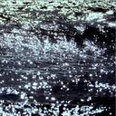Waterfields