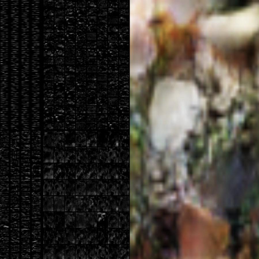 Mycelium Garden