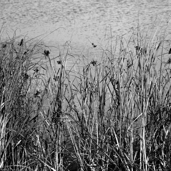 Beneath the Surface